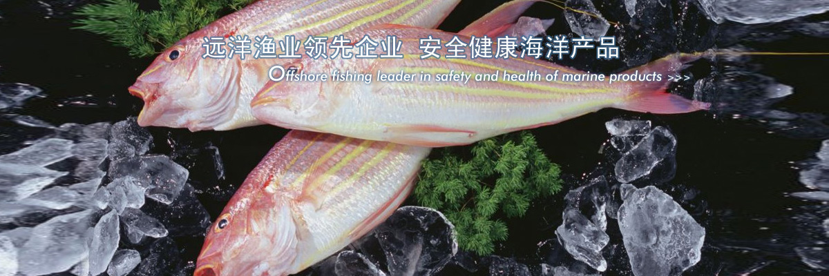 遠洋漁業領先企業 安全健康海洋産品